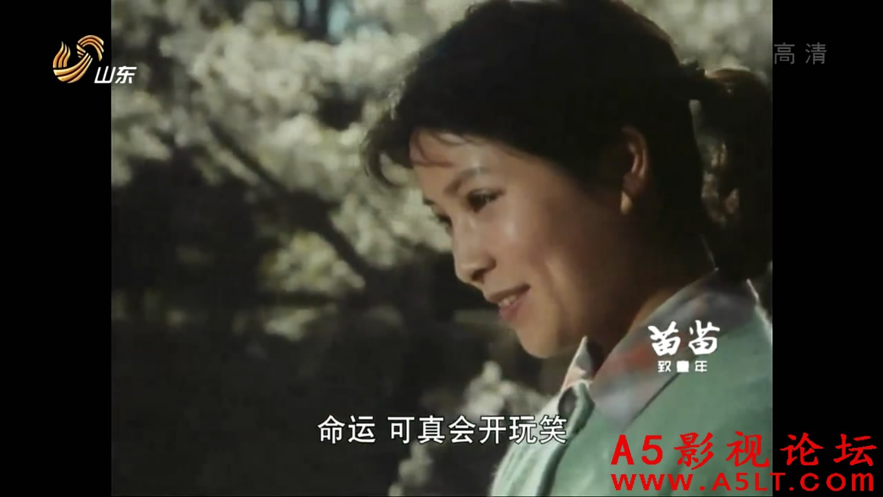 hhhhb7o.jpeg