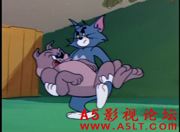 猫和老鼠百度云网盘下载,