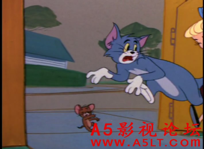 猫和老鼠迅雷下载