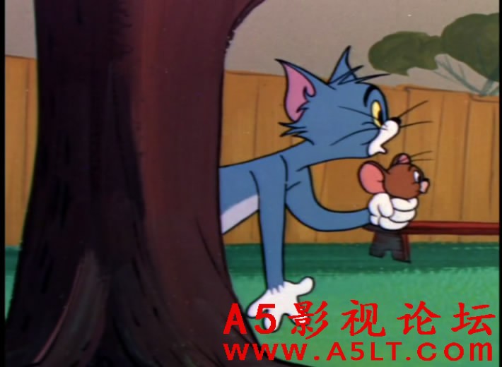 猫和老鼠百度云网盘下载