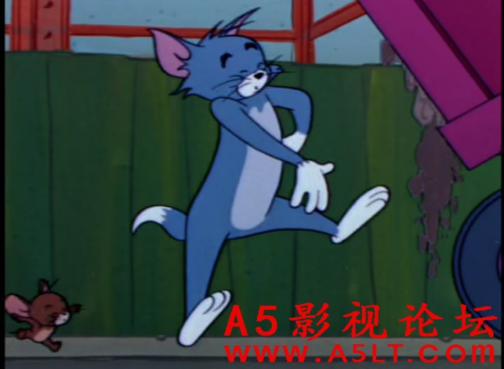 猫和老鼠百度云网盘下载