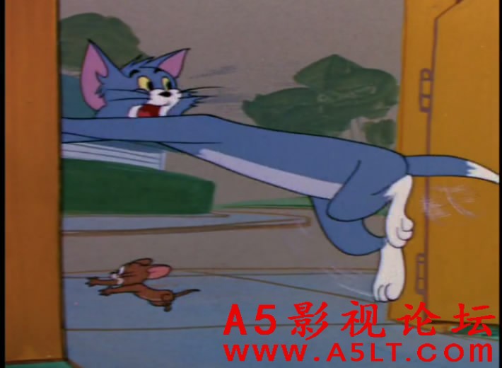 猫和老鼠迅雷下载