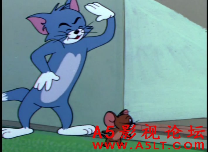 猫和老鼠迅雷下载