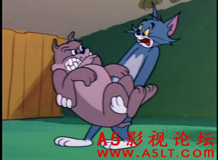 猫和老鼠百度云网盘下载