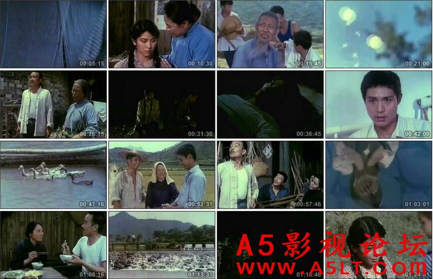 QQ截图20180608131344.jpg