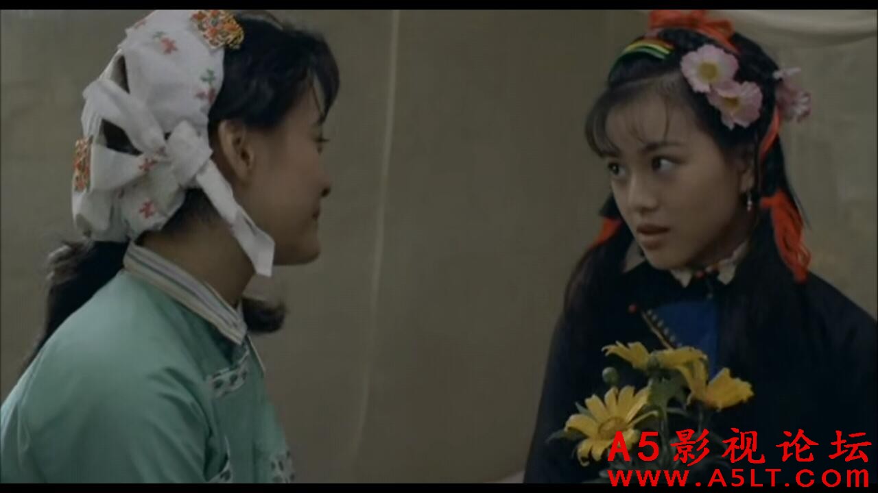 [香港] [双镯 ][1991][DVD数码修复/MKV/1.36G][国粤双语中字][百度云]