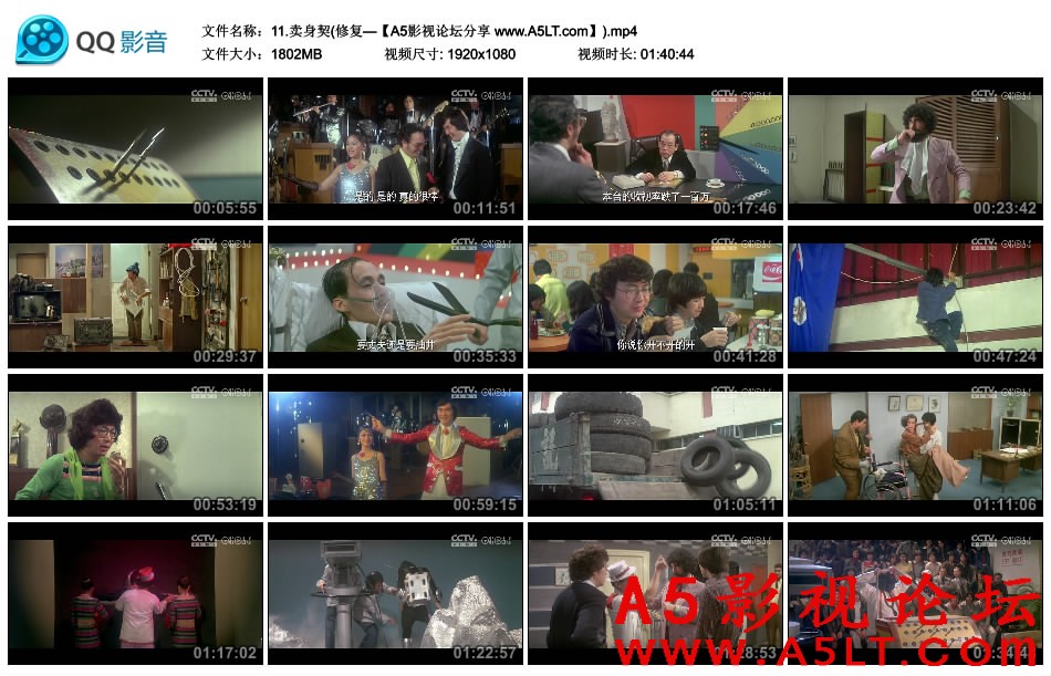 卖身契迅雷下载
