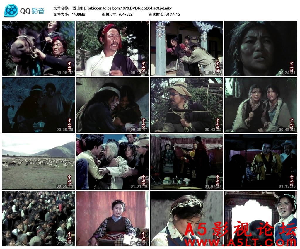雪山泪百度云网盘下载
