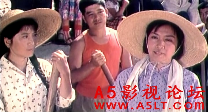 山花迅雷下载