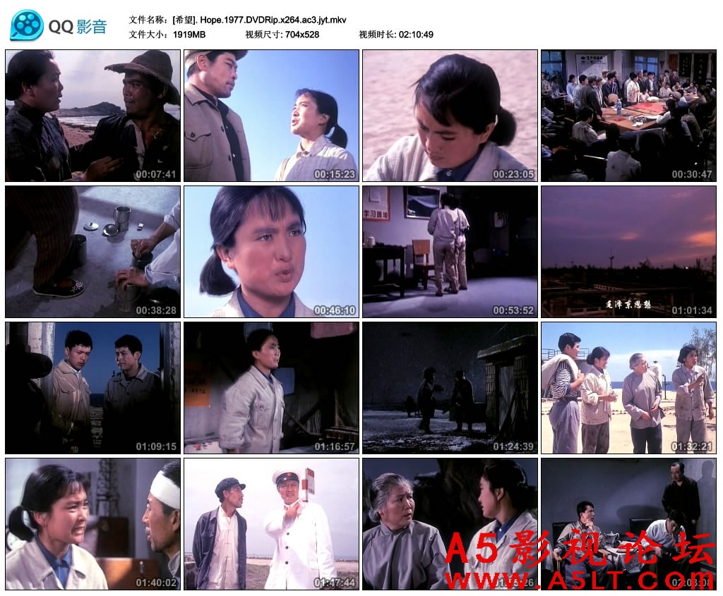 希望迅雷下载