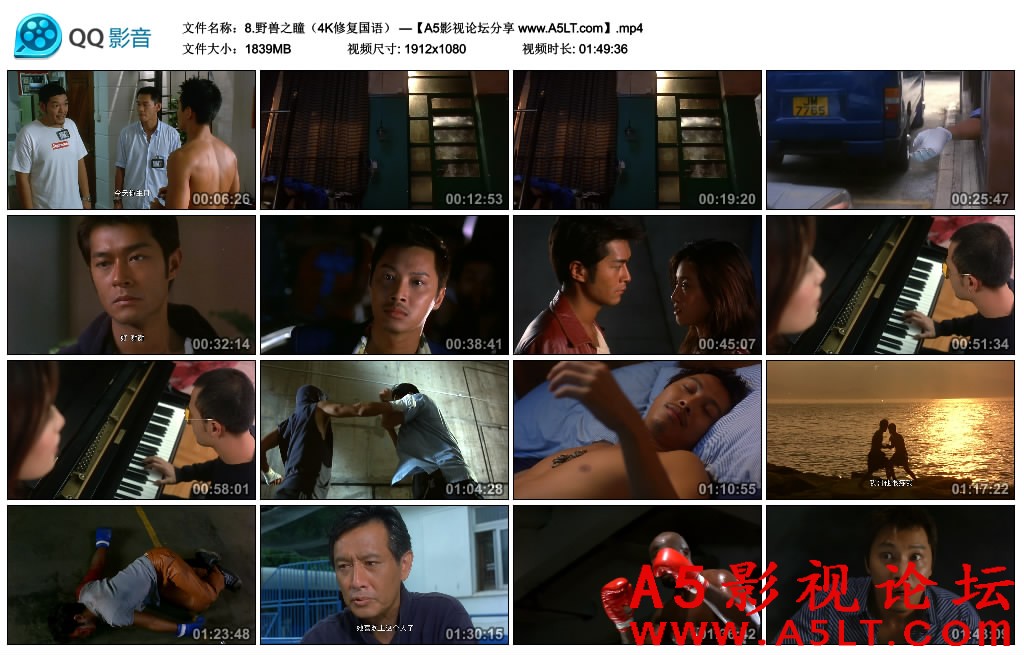 野兽之瞳迅雷下载
