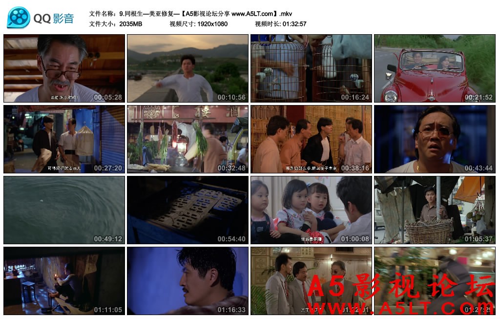 同根生百度云网盘下载