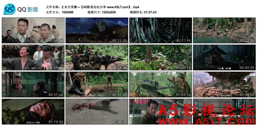 东方秃鹰迅雷下载