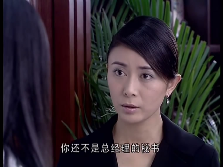 曹老板的十八个秘书迅雷下载