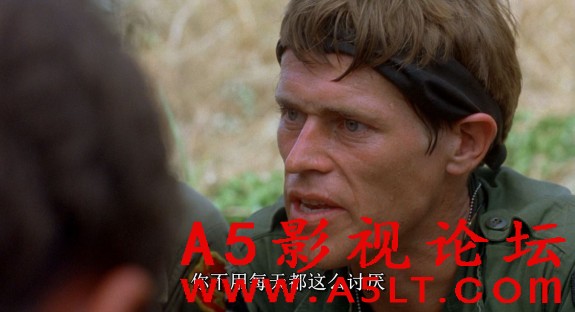 野战排迅雷下载