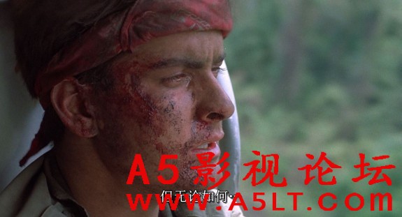 野战排百度云网盘下载
