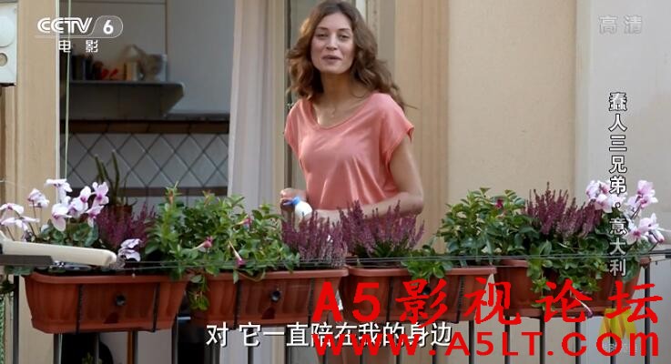蠢人三兄弟迅雷下载 蠢人三兄弟迅雷下载