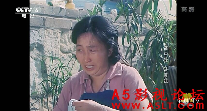 高中锋矮教练迅雷下载