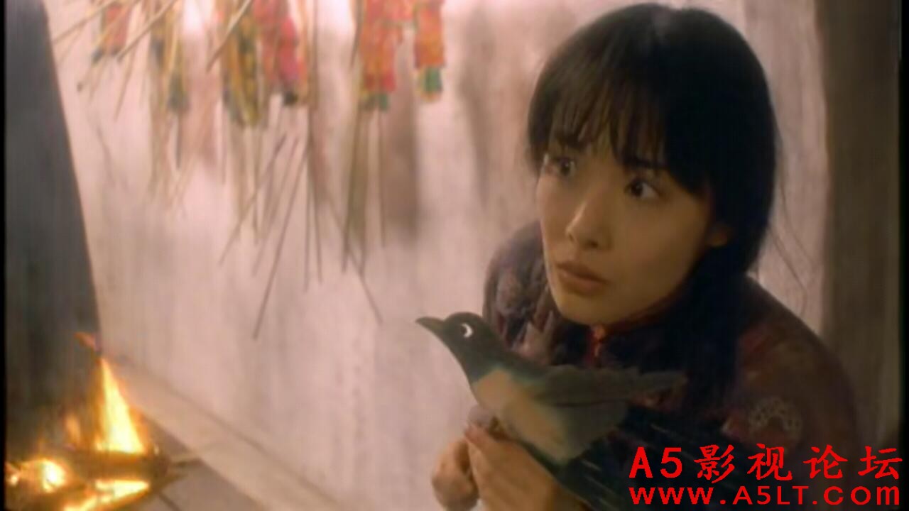 [香港] [南京的基督] [1995][DVDRip/mkv/1.41G][粤语中字][百度云]