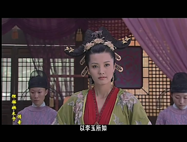 大宋奇案之狸猫换太子传奇百度云网盘下载