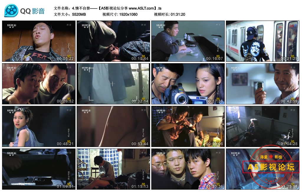 情不自禁百度云网盘下载