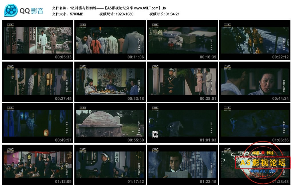 神猫与铁蜘蛛百度云网盘下载