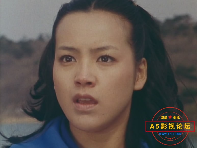 [日本][排球女将][百度云网盘下载][高清DVD18.6G/每碟2.6G][71集][1979年][中日双语外挂字幕]