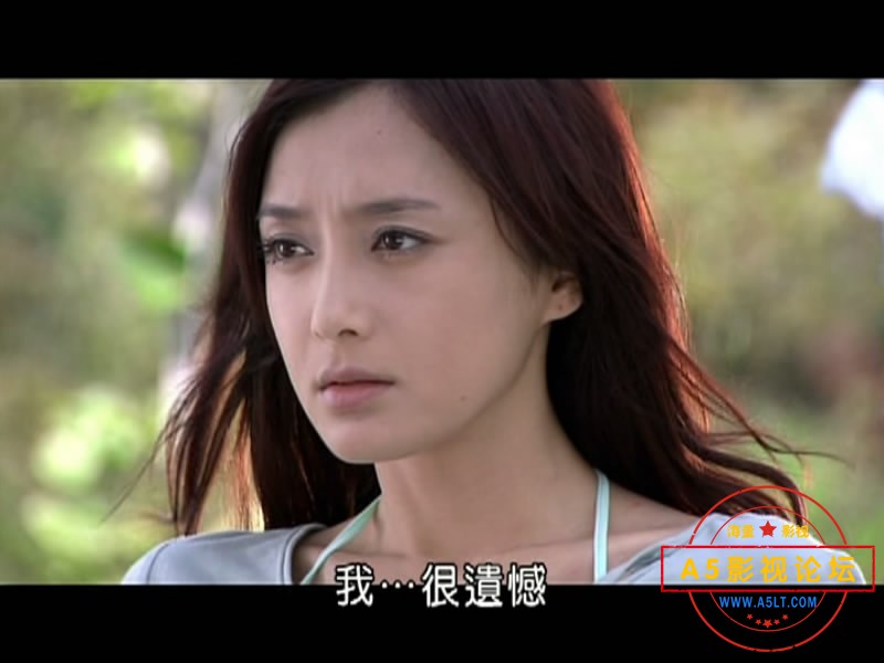 [电视剧][又见一帘幽梦][百度云网盘下载][16DVD5][原盘高清VOB/64.5G/每碟4G][2007年][方中信/秦岚/张嘉倪] ...