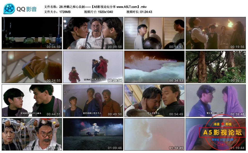九二神雕之痴心情长剑迅雷下载