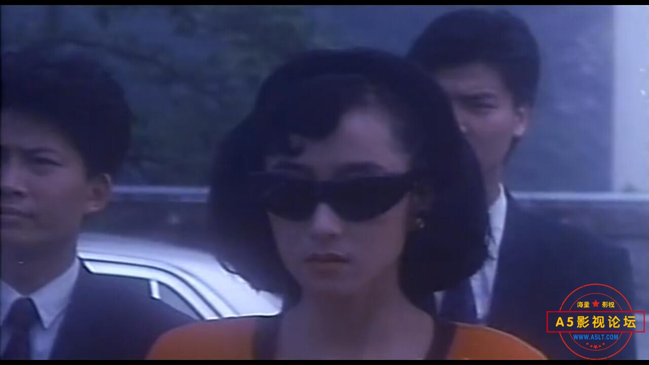 [香港] [四大家族之龙虎兄弟] [1991][DVDRip/mkv/2.49G][粤语中字][百度云]