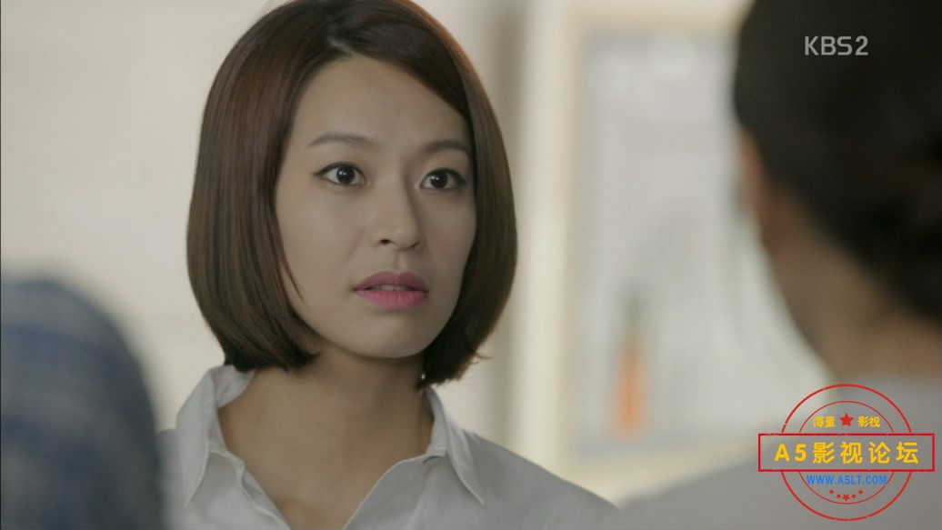 [韩剧][鲨鱼][百度云网盘下载][HDTV][720P高清MKV/43.5G/每集2.1G][2013年][孙艺珍/金南佶/河锡辰][韩语外 ...