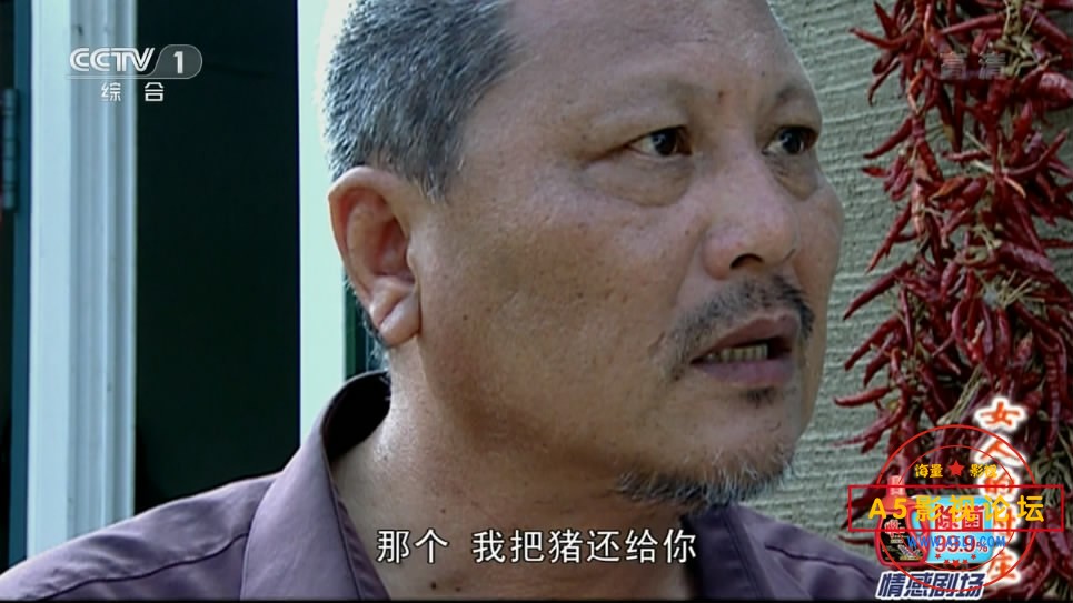 [国产剧][女人的村庄][百度云网盘下载][CCTV][720P高清MKV/36.5G/每集1.3G][2009年][王茜华/闫学晶][国语字 ...