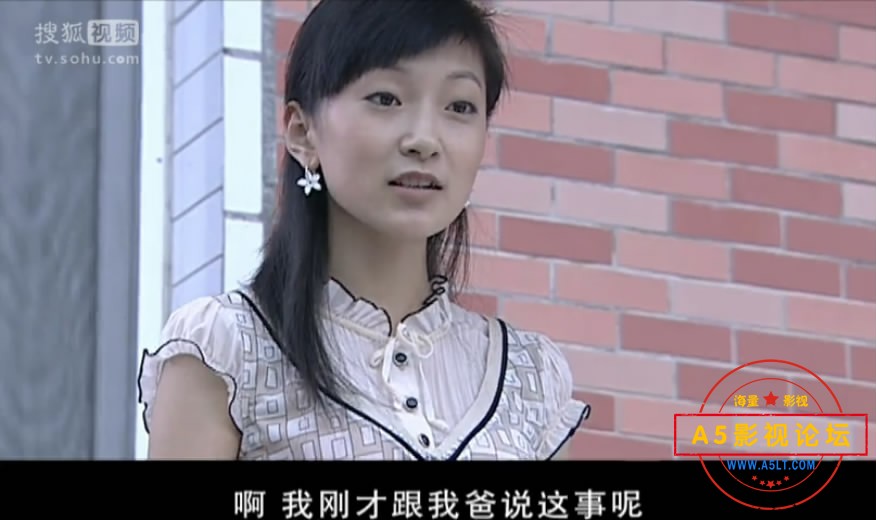 [国产剧][乡村名流][百度云网盘下载][480P标清MKV/5.4G][2009年][王小利/孙立荣/张家豪][国语字幕]