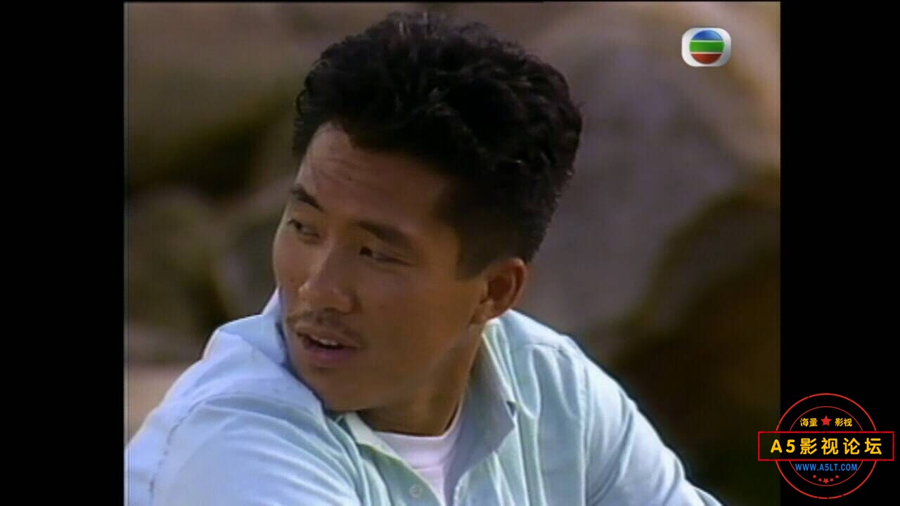 [香港/TVB/1989/串燒冤家 /GOTV源码/20集全/每集约800MB/粤语无字/ts/百度云]