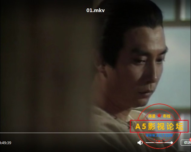 **1990蓝洁瑛[末代儿女情][DVDRip-MKV][480P][国语中字][42集全 每集约340M][刘松仁 蓝洁瑛 马景涛 萧大  . ...