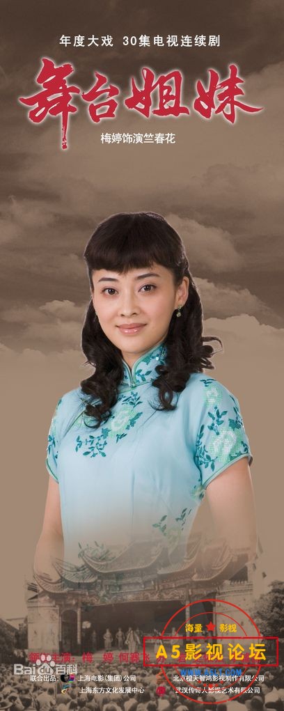 电视剧--舞台姐妹，主演：梅婷，苏岩，何赛飞，史依弘