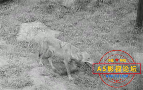 中国首部国防电影1936[联华影业公司出品][狼山喋血记][avi/172M][320P][国语无字][刘琼 黎莉莉 蓝苹]百度网 ...