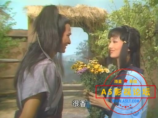 [TVB剧集] [TVB][1984][魔域桃源][刘德华/赵雅芝][国粤双语中字][20集][3DVD-9 22.91GB][无台标] 