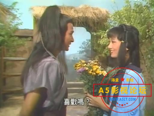 [TVB剧集] [TVB][1984][魔域桃源][刘德华/赵雅芝][国粤双语中字][20集][3DVD-9 22.91GB][无台标] 