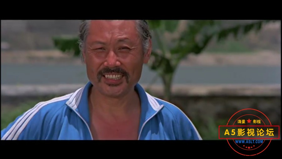 1975邵氏经典动作片[后生][DVD原盘-VOB][576P][国语中字][狄龙 姜大卫 林静 袁小田]百度网盘