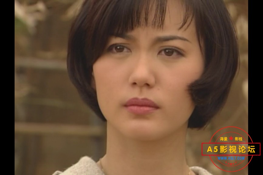 1997新加坡民国爱情剧[悲情年代][toogle源码-TS][576P][国语无字][20集全 每集约700M][13.47GB][曾江 曹国  ...