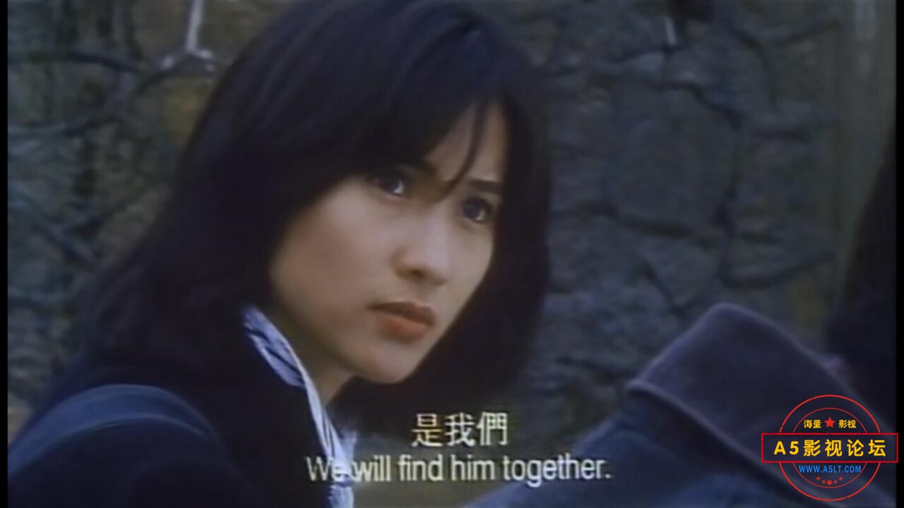  [香港] [错体追击组合] [1995][DVDRip/mkv/1.18G][国粤双语中英字][百度云]