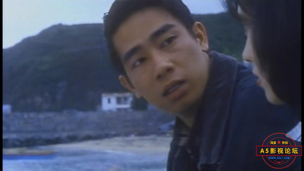  [香港] [错体追击组合] [1995][DVDRip/mkv/1.18G][国粤双语中英字][百度云]