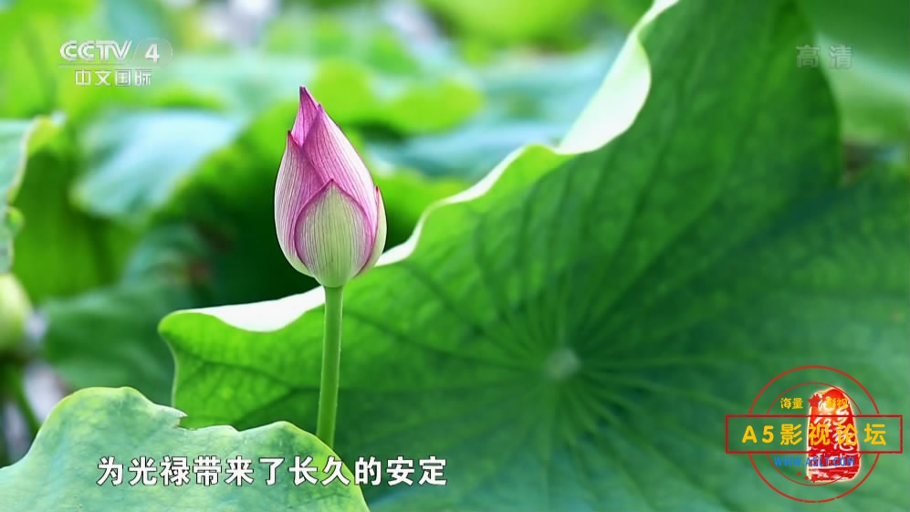 [纪录片][记住乡愁][第三季][百度云网盘资源下载][CCTV4][1080P高清TS/158.7G/每集2.5G][2017年]