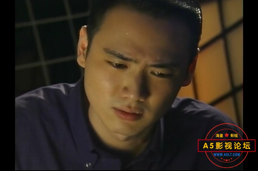 8.2分 跨世纪黑客大片[力克千年虫][双版本toogle源码-TS][576P][国语无字][21集完整版 每集约620M][12.18GB ...