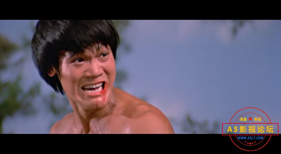 1974邵氏经典动作片[太极拳][DVDRip-MKV][712X352][国语中英双字][陈沃夫 施思 杨志卿 韦弘][1.36GB]百度网 ...