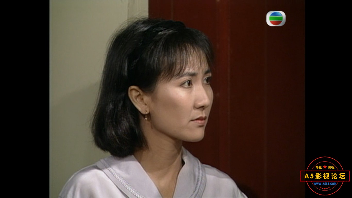1990TVB时装情感剧[失职丈夫][GOTV源码-TS][720P][粤语无字][20集全 每集约800M][15.50GB][罗嘉良 商天娥   ...