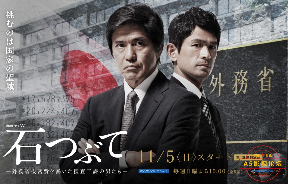 2014JPN 8.5分犯罪剧[砾石][wowow源码-MKV][720P][日语中字][8集全 每集约880M][6.31GB][永山绚斗 高桥一生 ...