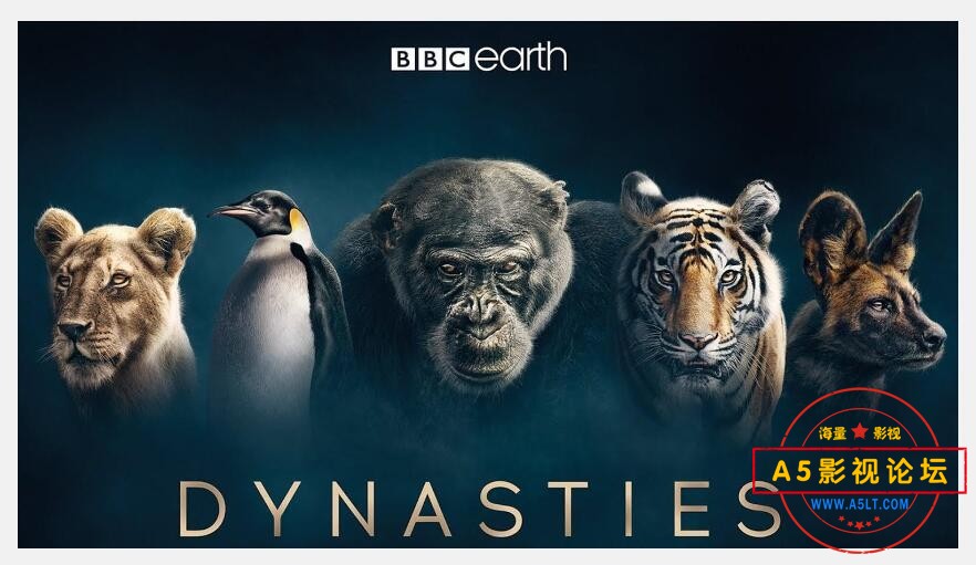 BBC纪录片. 动物王朝.第1集.黑猩猩.2018国英双语.重混5.1ch中英特效字幕【无水印 纯净版1080P】4.7GB -百度 ...