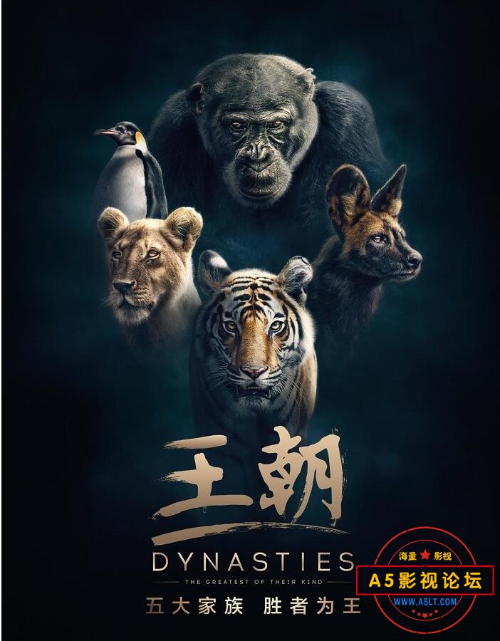 BBC纪录片. 动物王朝.第2集帝企鹅：顽强生存.2018国英双语.重混5.1ch中英特效字幕【无水印 纯净版1080P】4. ...